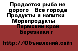 Продаётся рыба не дорого - Все города Продукты и напитки » Морепродукты   . Пермский край,Березники г.